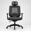 ErgoMesh Pro Office Chair
