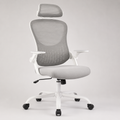 ErgoFlex Mesh Office Chair